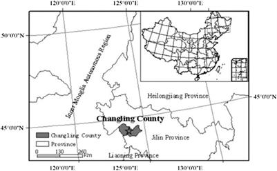 Species Diversity Induces Idiosyncratic Effects on Litter Decomposition in a Degraded Meadow Steppe